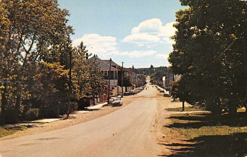 Gore Bay Manitoulin Island Ontario Canada Antique Postcard L2809 | eBay