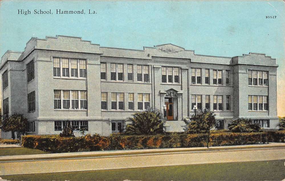 Hammond Louisiana High School Street View Antique Postcard K38577 | eBay