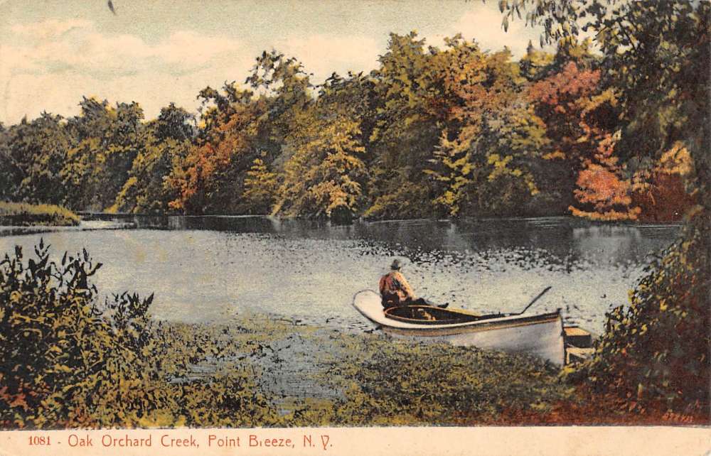 Point Breeze New York Oak Orchard Creek Row Boat Antique Postcard ...