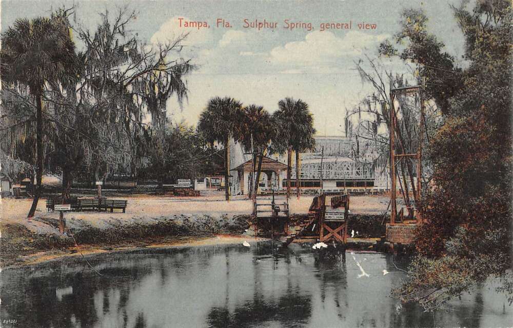 Tampa Florida Sulphur Spring General View Vintage Postcard AA26642 | eBay