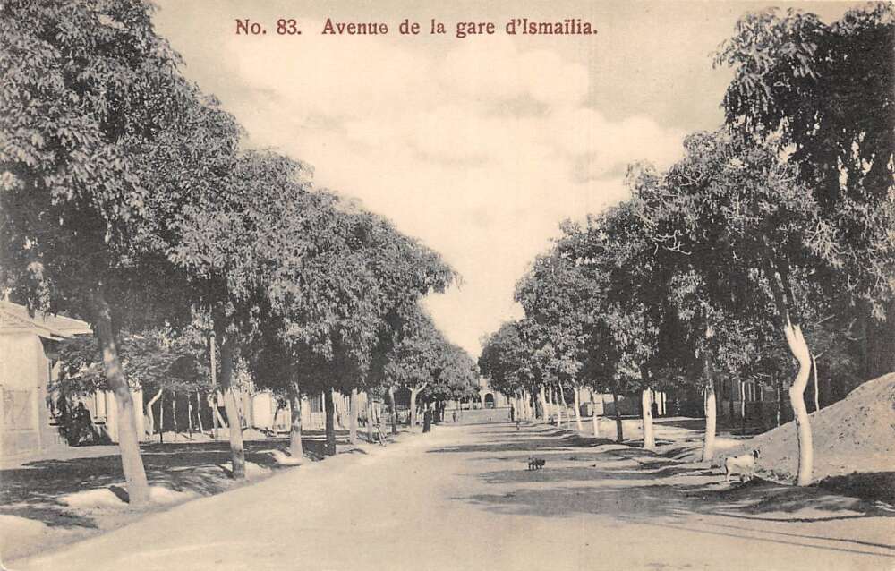 Ismailia Egypt Street Scene Vintage Postcard AA75017